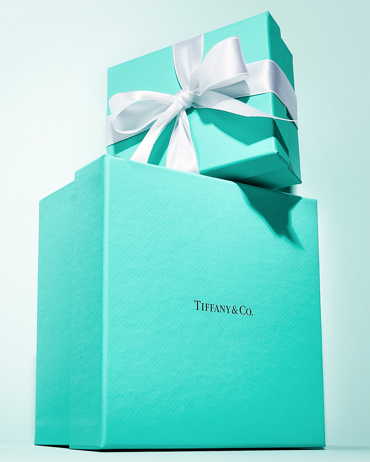 T&CO.™ | Tiffany & Co. 티파니앤코